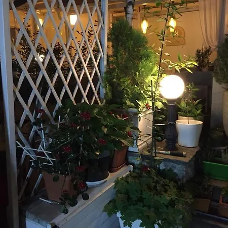 студия давидов 