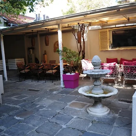 студия давидов 