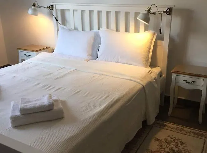 студия давидов 