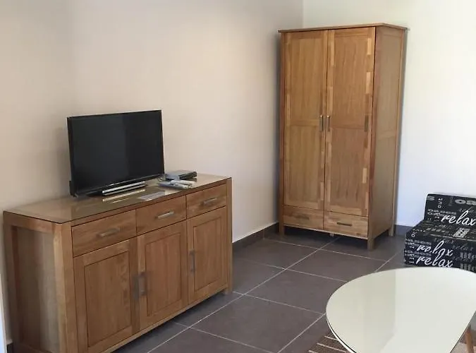 студия давидов 