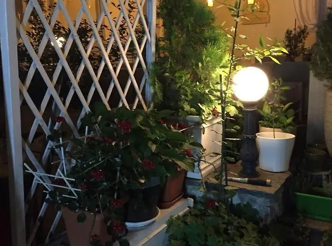 студия давидов 