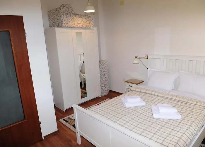 студия давидов 