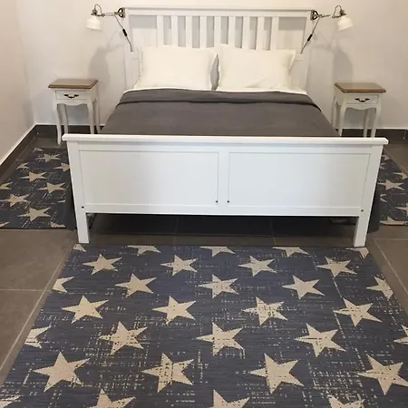 студия давидов 