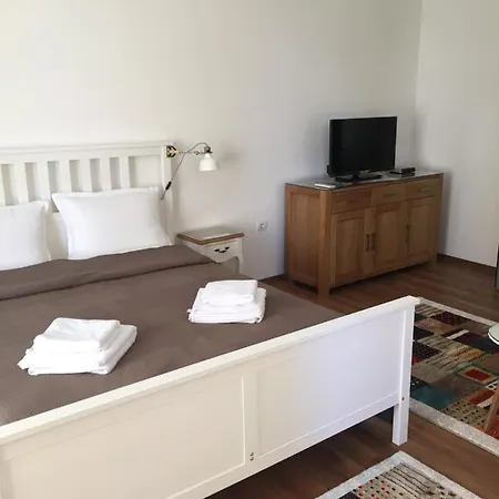 Apartament студия давидов 