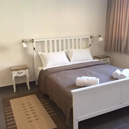 студия давидов 