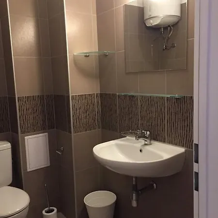 студия давидов 