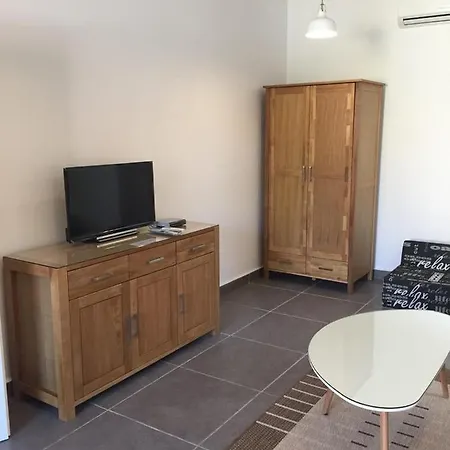 студия давидов 