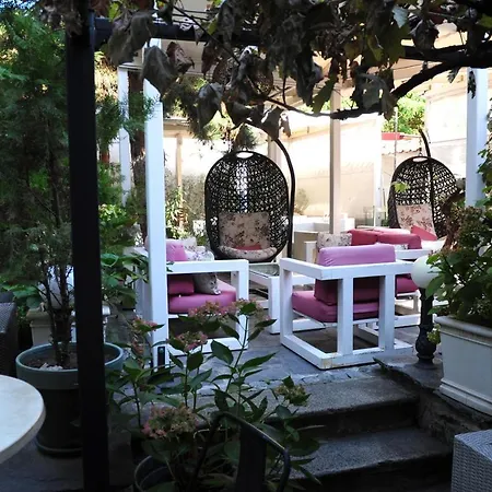 студия давидов 