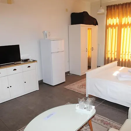 студия давидов 