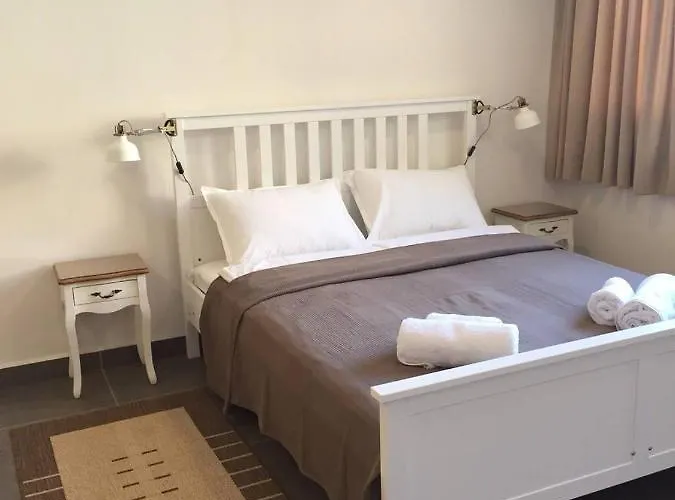 студия давидов 