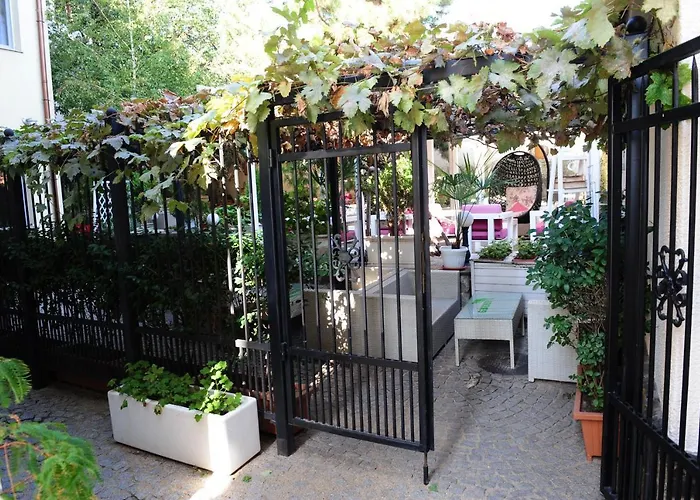 студия давидов 