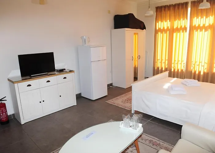 студия давидов 