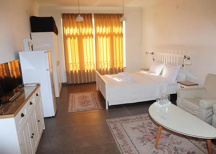 студия давидов 